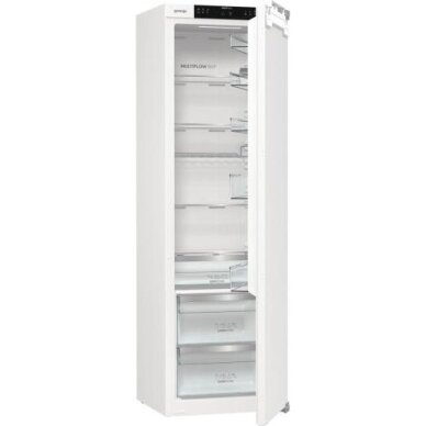 Šaldytuvas Gorenje RI517E62WF 1